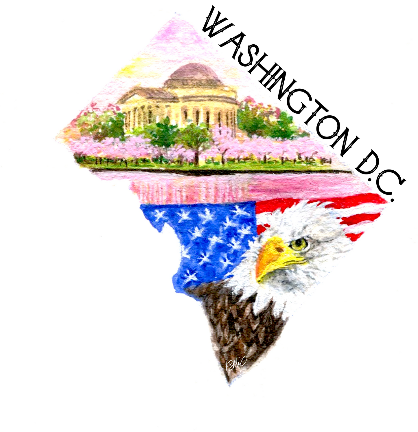 Washington D.C. Mission