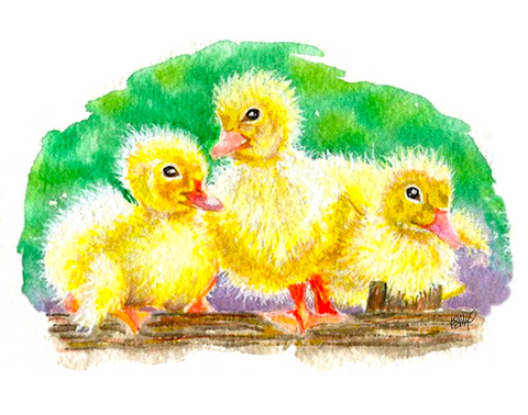 Ducklings in a Row