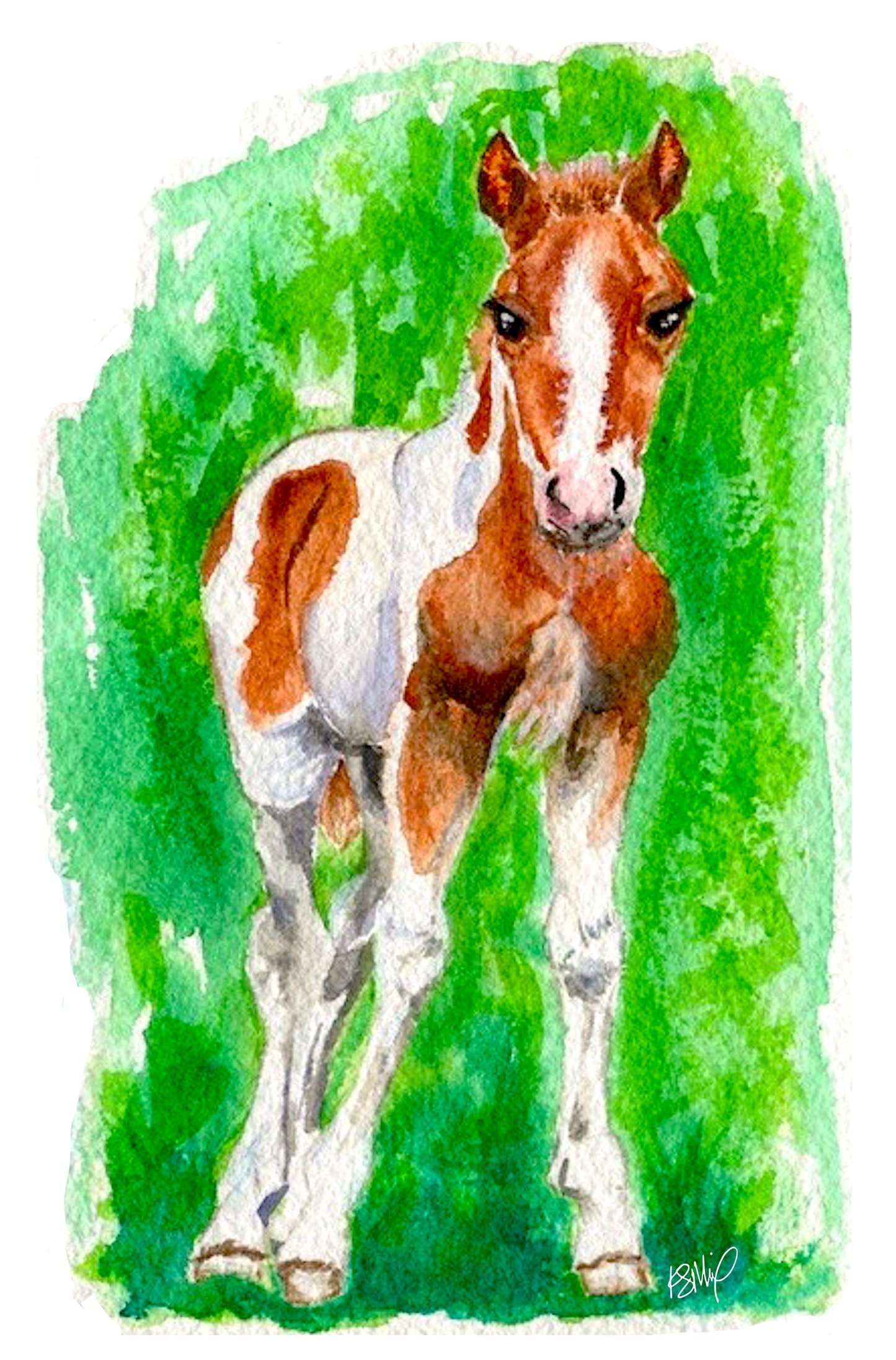 Spring Foal