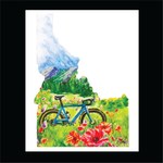 Idaho Mountain Bike and Flowers