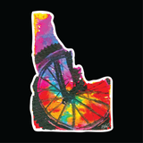 Idaho Prism Bike Wheel