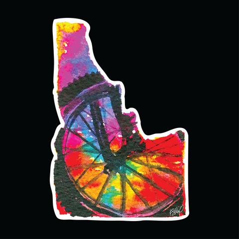 Idaho Prism Bike Wheel