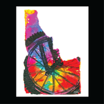 Idaho Prism Bike Wheel
