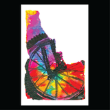 Idaho Prism Bike Wheel