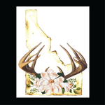 Idaho Antique Antlers