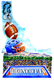 Idaho Bronco Fan