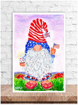 USA Gnome
